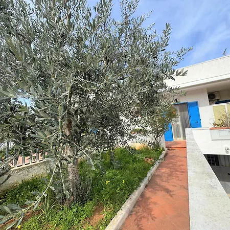 Del Moro - Ostuni - & Relax Villa *